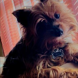 Meet your Posher, Stacy